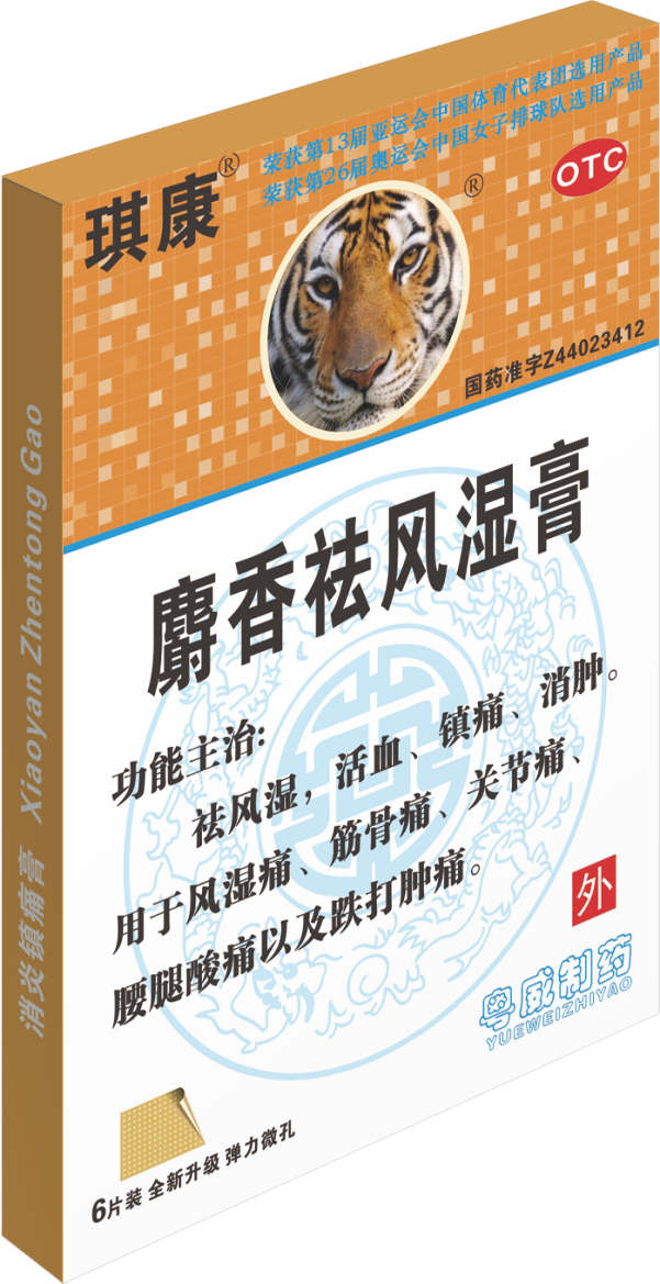 麝香祛風(fēng)濕膏